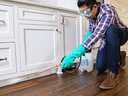 Best Real Estate Pest Inspections  in Manila, AR